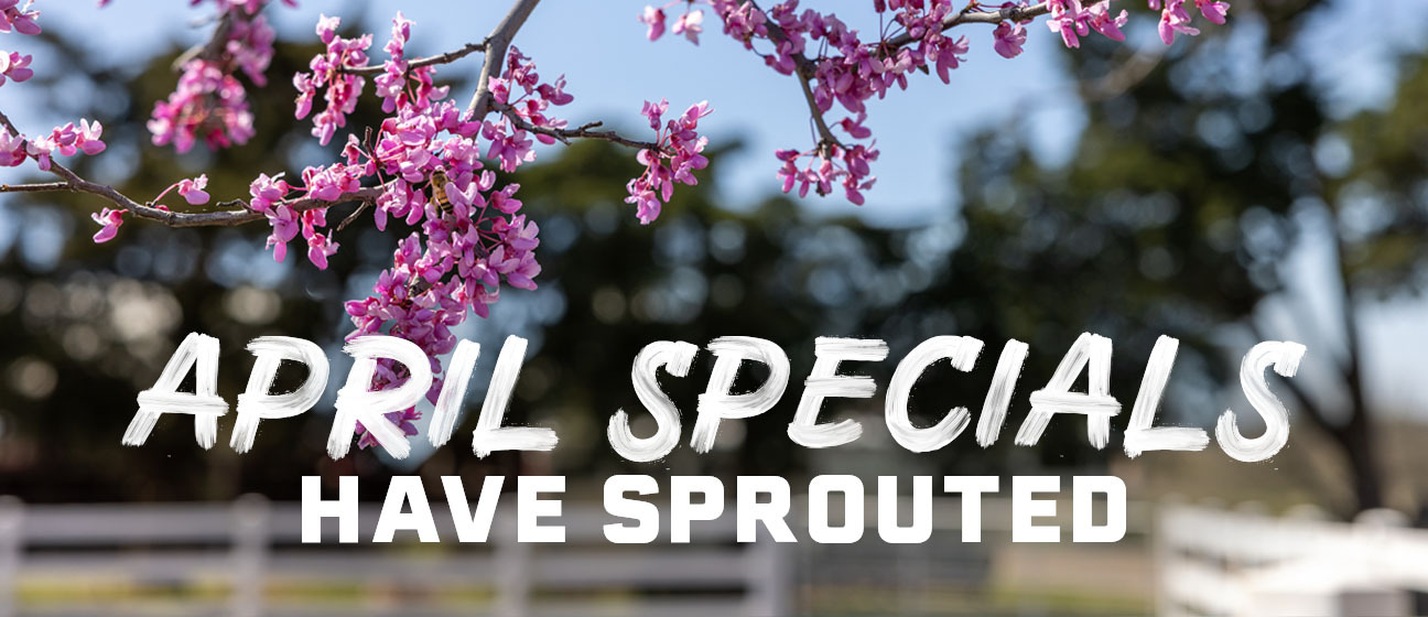 April Specials Have Sprouted